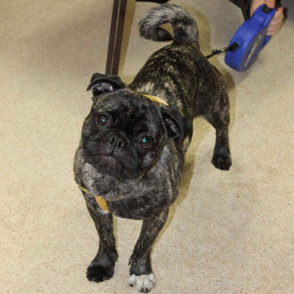 Meet your Posher, Melina - Picture 5 of 12